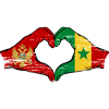 Montenegro Senegal Flag Hands Heart Shape