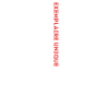 Limited Edition 2013 Exemplaire Unique