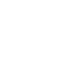 Diving Addicted manta ray