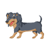 Dachshund Anatomy Dog Tee