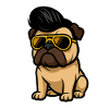 Cool Bulldog with Sunglasses