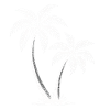Silhouette de palmiers lumineux