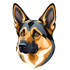 Face of a German Shepherd