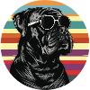 Cool Dog with Sunglasses
