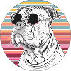 Cool Bulldog with Sunglasses