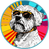 Funny dog with sunglasses