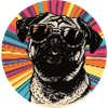 Casual dog with sunglasses