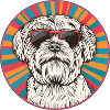 Casual dog with sunglasses