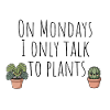 Cute Cactus Duo Plant Illustration