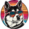 Cool husky with retro style sunglasses