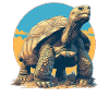 Tortoises Tortoise