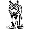 Wild Wolf Freedom