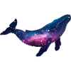 Baleine bisexuelle Queer Galaxy Whale Space