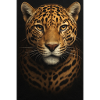 Data Analysis Illustration with Leopard