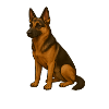 Elegant German Shepherd Print