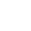 Fly Eagle Fly