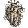 Bibliophile's Anatomical Heart
