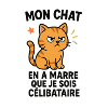 Chat Sarcastique en Colère