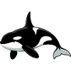 Orca Sea Animal Lover