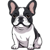 Adorable French Bulldog
