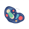 Abstract Cosmos Pattern in Blue