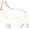 German Shepherd Drawing