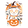 Night Cat Halloween Pumpkin Witch