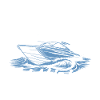 Captain - skipper