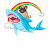 Carlin équitation requin arc-en-ciel