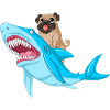 Pug Riding Shark Funny