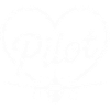 Pilot Airplane Design