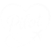 Pilot Heart Airplane Flight License