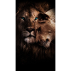 Lioness and Leo: Dark Closeness