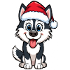 Husky with Santa hat