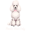 Poodle Vibes Only - Elegant Poodle