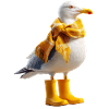 Seagull with rain accessories