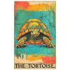 Tortues Tortue