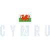 Flag of Wales, Welsh patriot