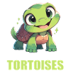 Tortoises Tortoise