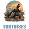 Tortoises Tortoise