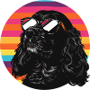 Black dog with sunglasses