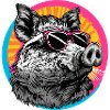 Cool wild boar with sunglasses