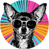 Chihuahua with retro sunglasses