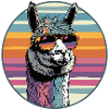 Llama with retro style sunglasses