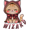 Kitten in magic cape