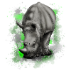 Rhinoceros
