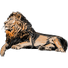 Majestic lion lying down