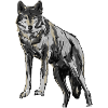 Wildewolf Illustration im Aquarellstil