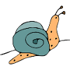 snail