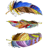 Pen